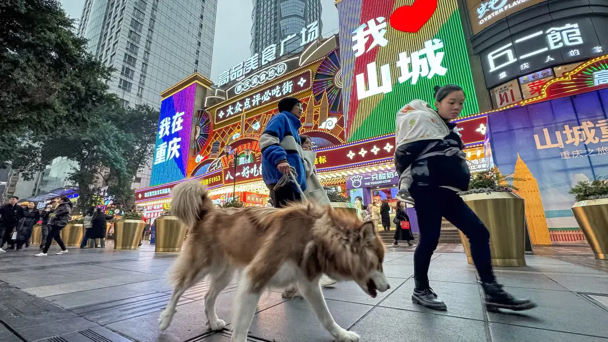 多地动物保护倡议者称遭到警方约谈与活动限制