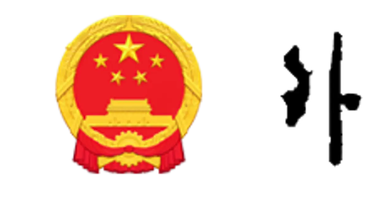 中国外交部长在联合国人权理事会阐述官方人权立场