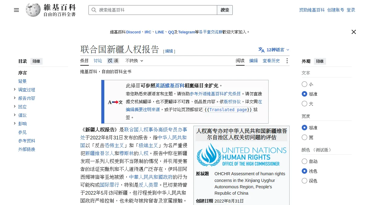 联合国新疆人权报告