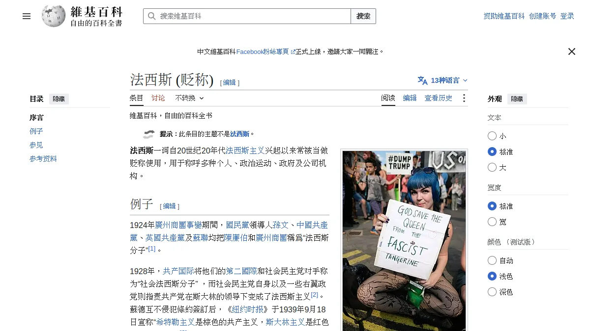 法西斯 (贬称)